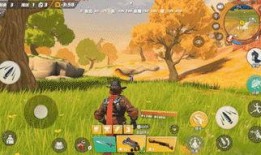 赏金猎手爆料视频大全集,揭秘幕后真相与惊心动魄瞬间