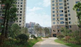 新宇星城爆料视频大全,揭秘项目亮点与真实情况